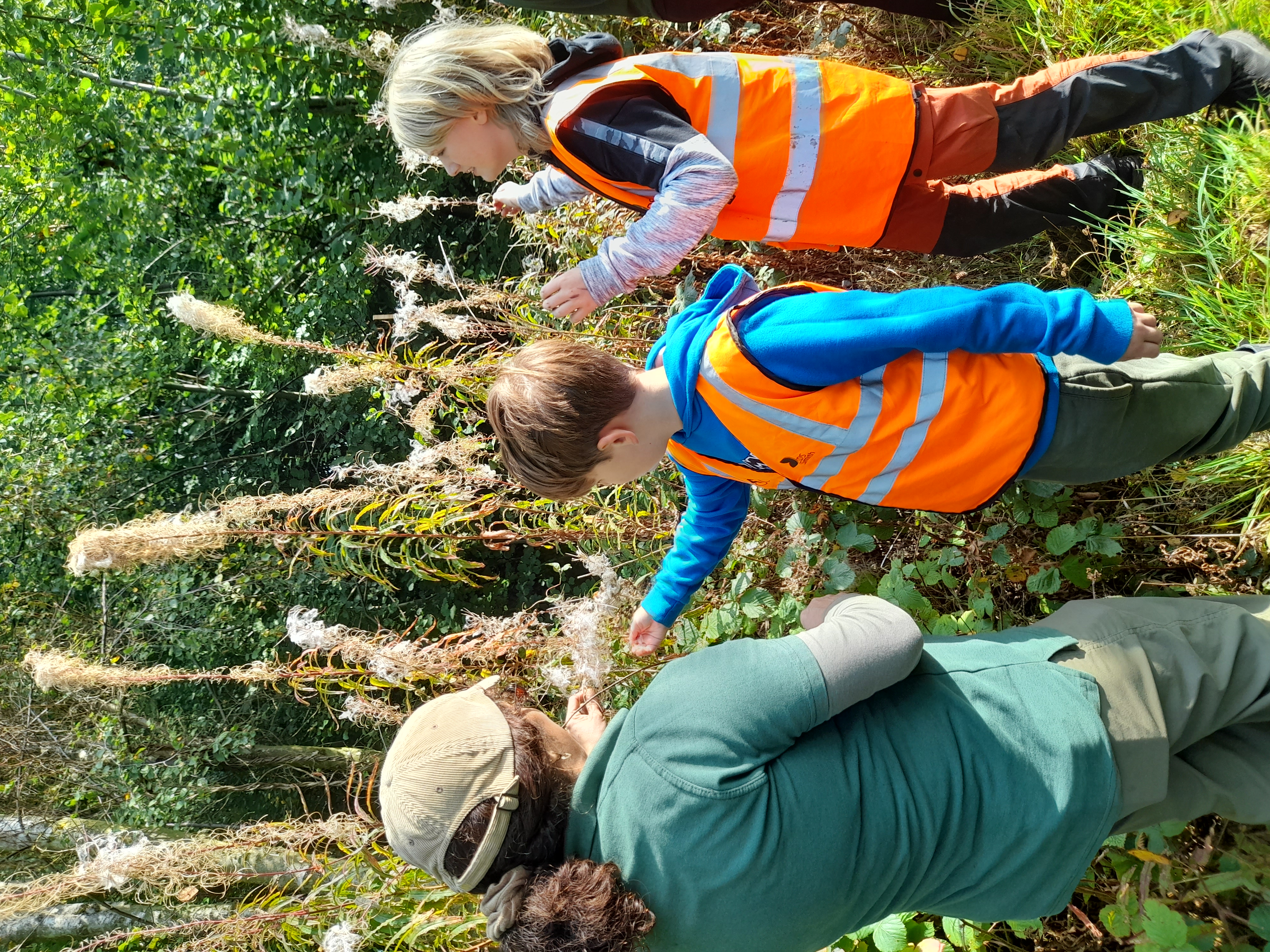 Involve Kent | Connect! short breaks