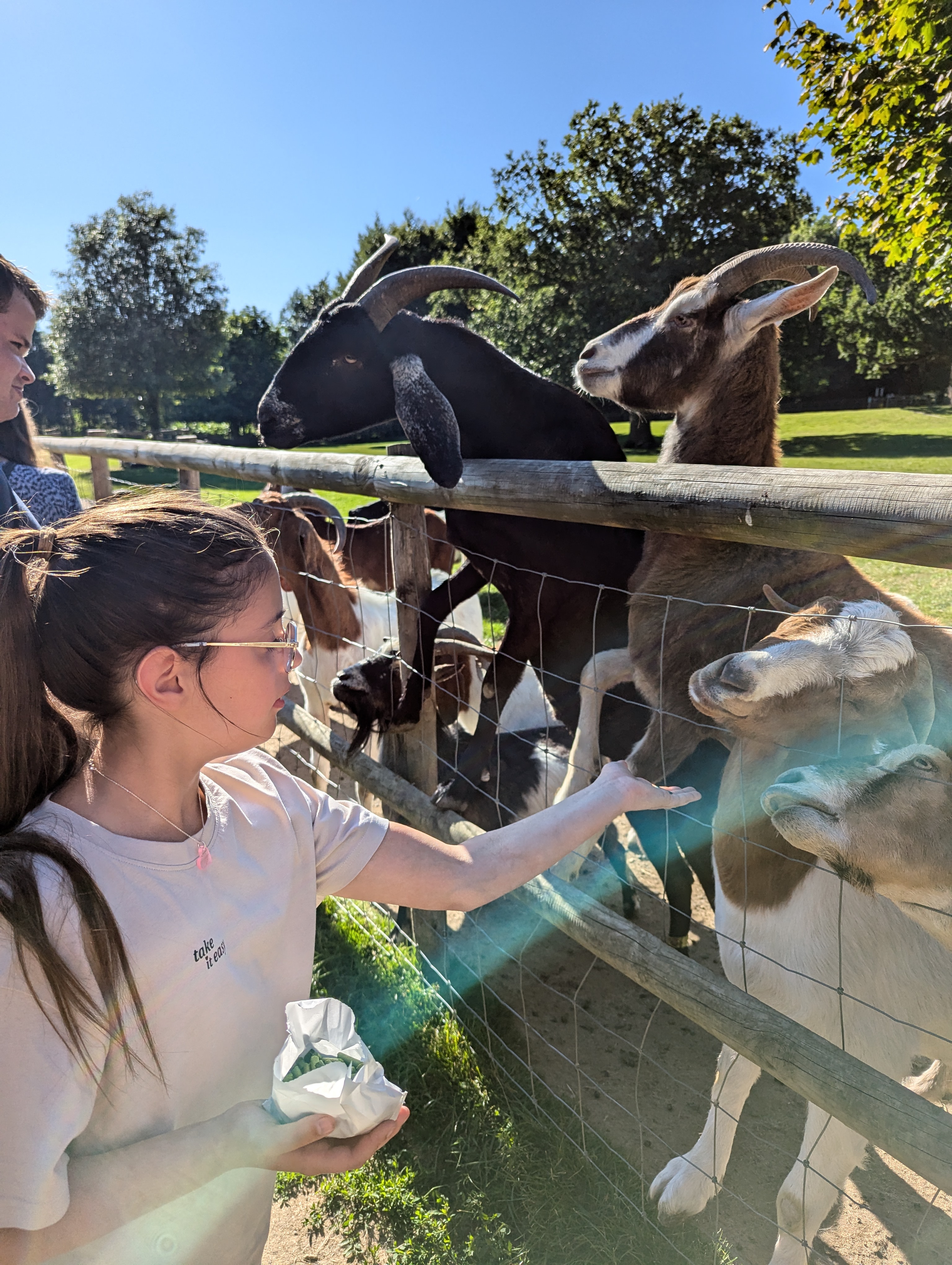 Involve Kent | Connect! short breaks