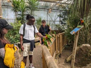 Involve Kent | Leaving care